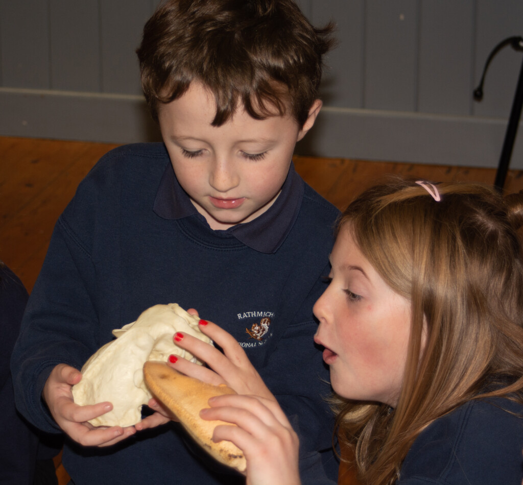 Rathmichael Churchfields Elliott and Chloe taking part in a biofact workshop