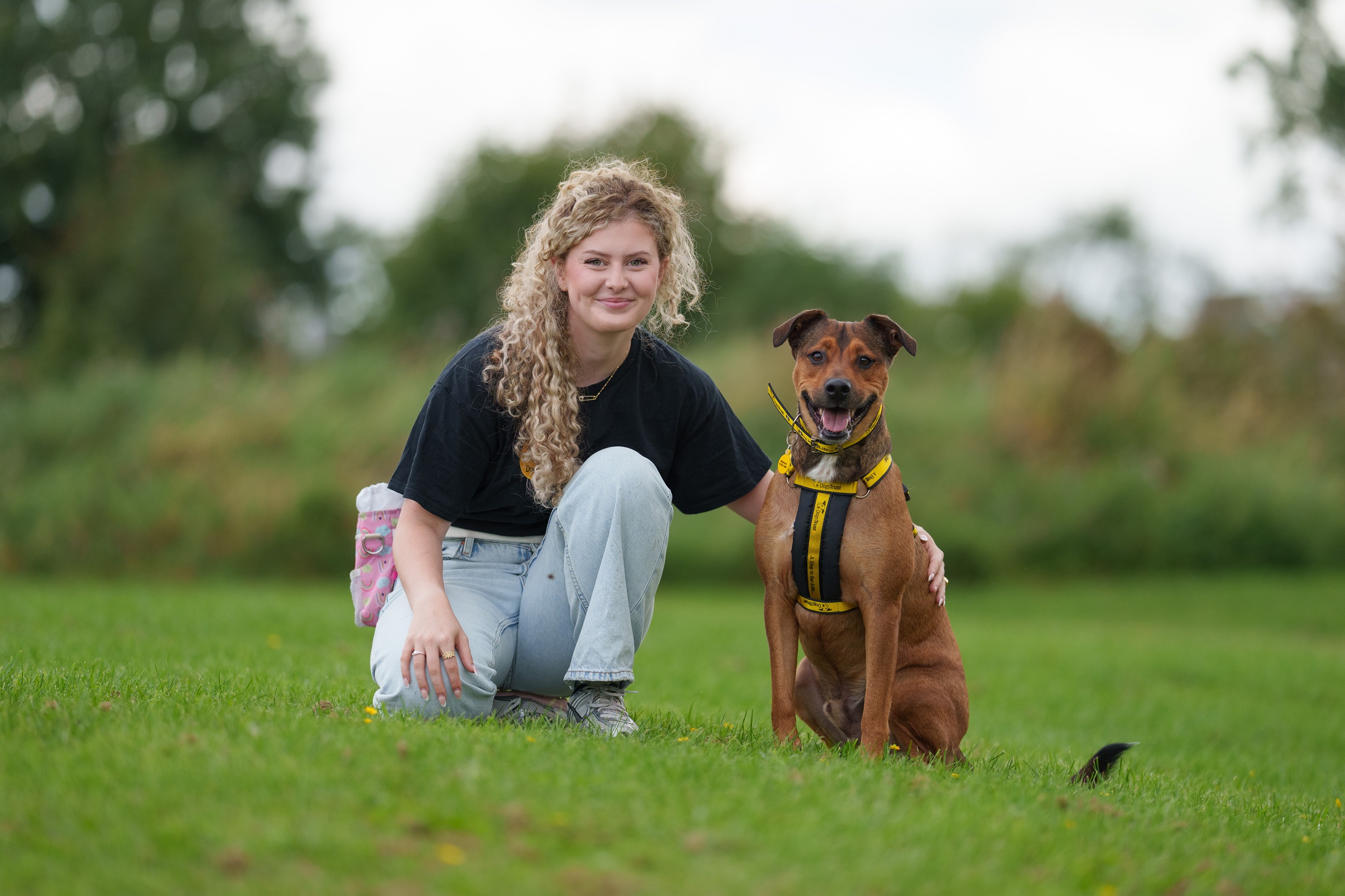 Dogs Trust Ireland reveals that larger dogs spend almost twice as long waiting for forever homes