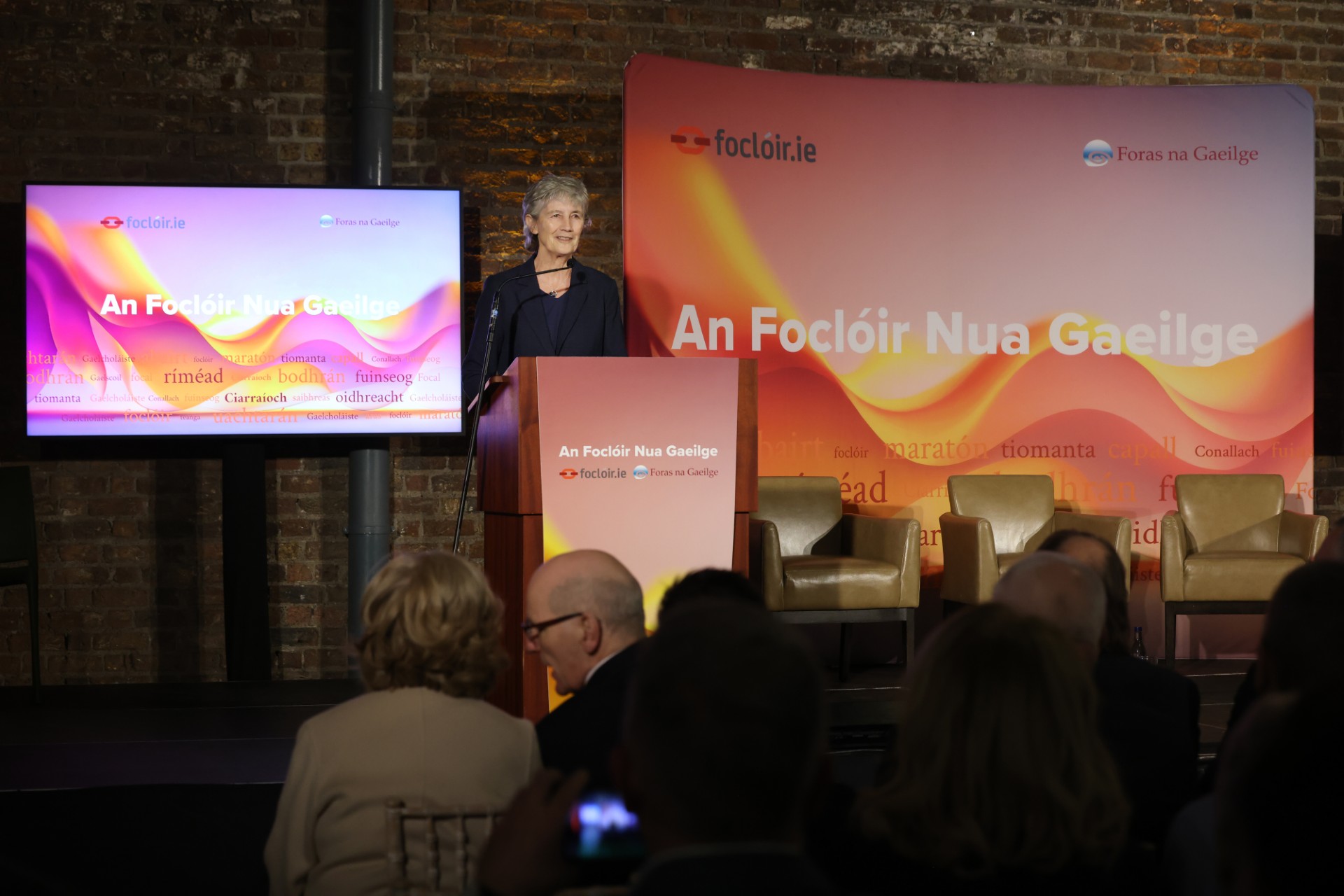 Dublin natives involved in monumental, first-of-its-kind Irish language dictionary